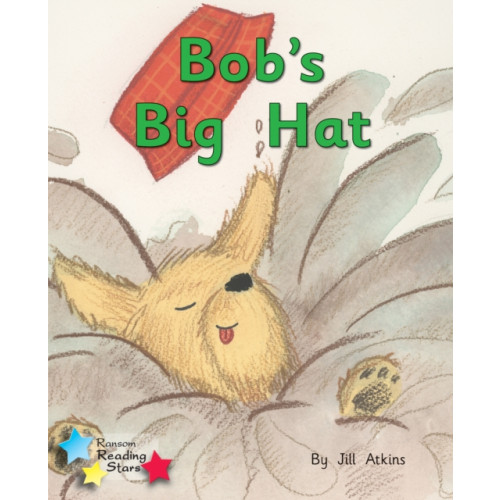 Ransom Publishing Bob and the Hat (häftad, eng)