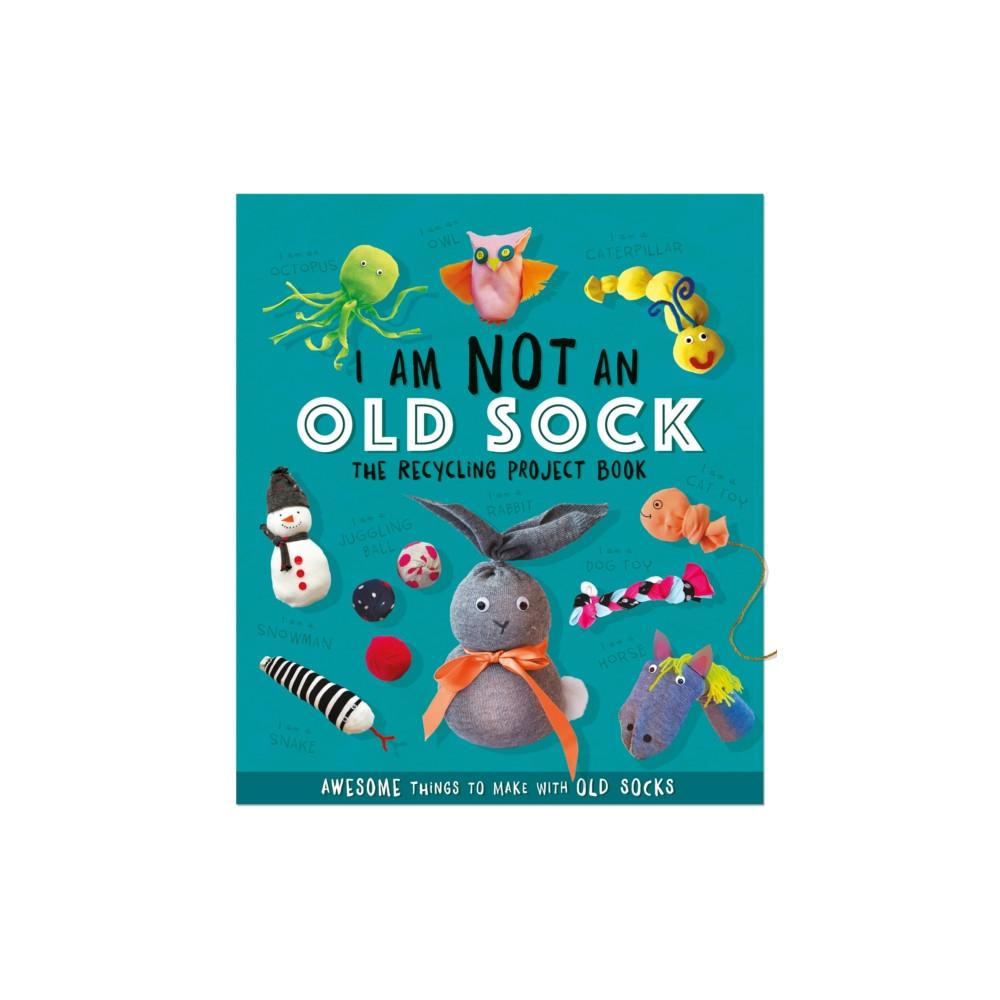 Produktbild för I Am Not An Old Sock - The Recycling Project Book (häftad, eng)