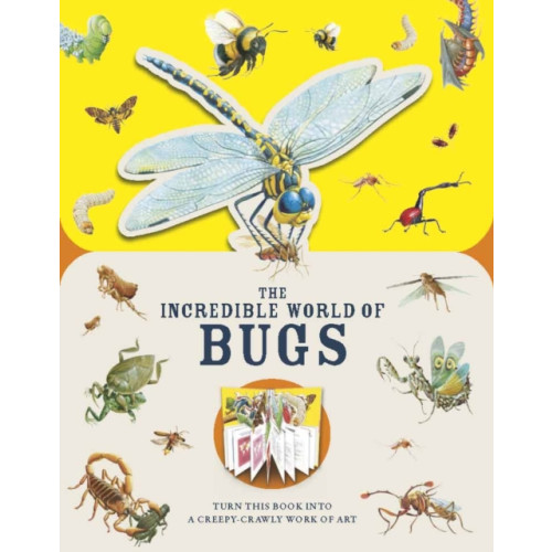 Hachette Children's Group Paperscapes: The Incredible World of Bugs (inbunden, eng)