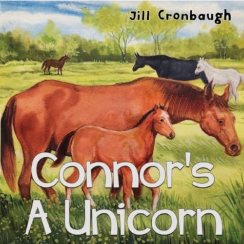 Pegasus Elliot Mackenzie Publishers Connor's A Unicorn (häftad, eng)