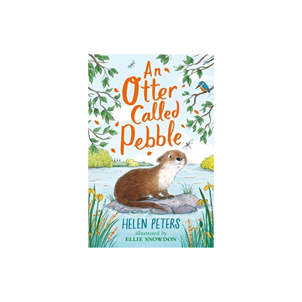 Produktbild för An Otter Called Pebble (häftad, eng)
