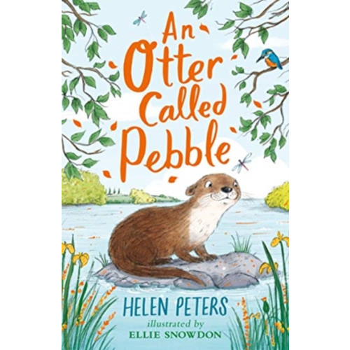 Nosy Crow Ltd An Otter Called Pebble (häftad, eng)