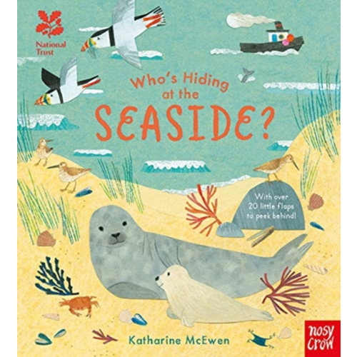 Nosy Crow Ltd National Trust: Who's Hiding at the Seaside? (bok, board book, eng)