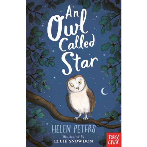 Nosy Crow Ltd An Owl Called Star (häftad, eng)