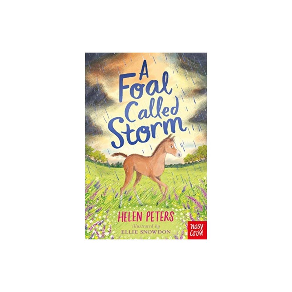 Produktbild för A Foal Called Storm (häftad, eng)