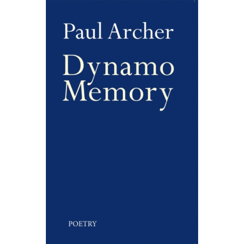 Troubador Publishing Dynamo Memory (häftad, eng)