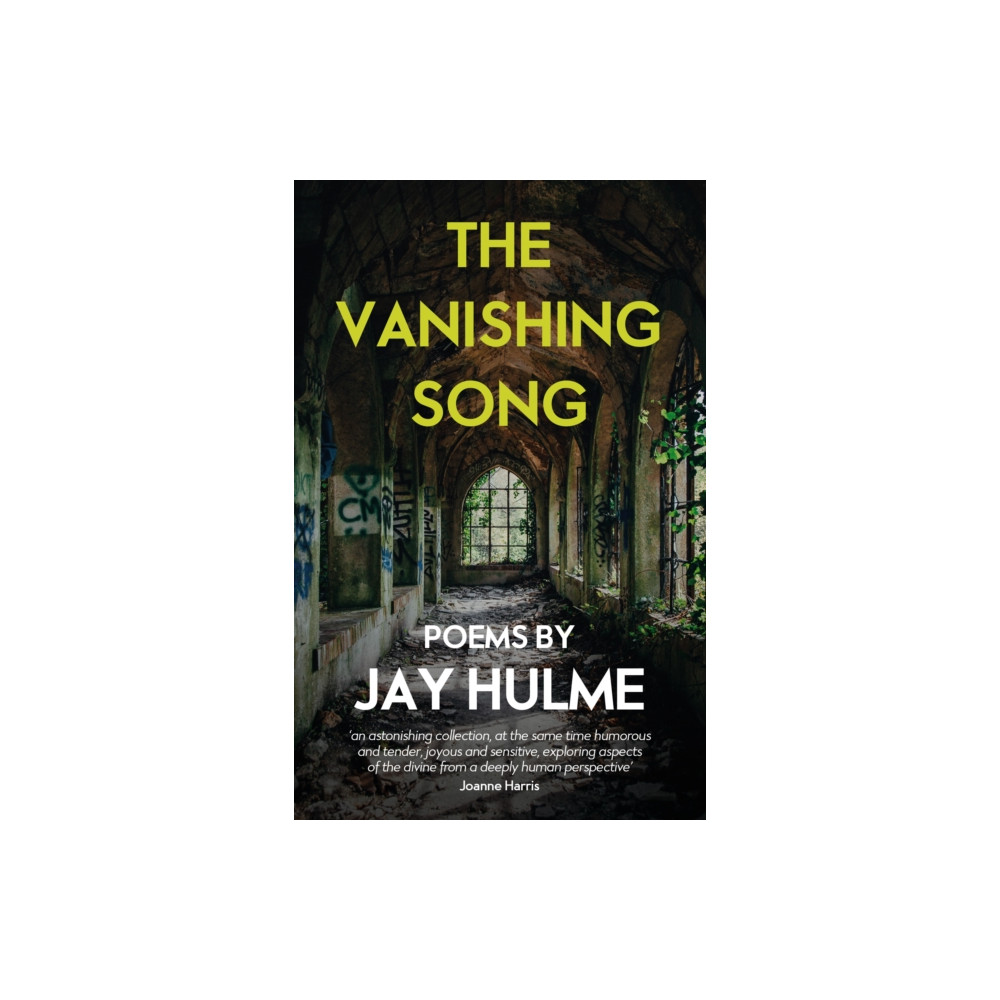 Produktbild för The Vanishing Song (häftad, eng)