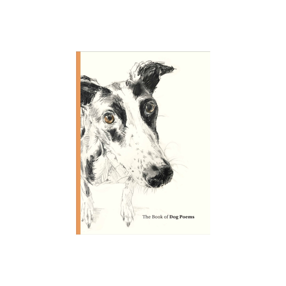 Produktbild för The Book of Dog Poems (inbunden, eng)