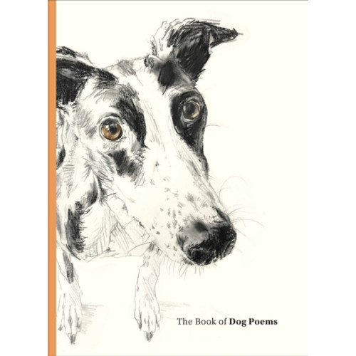 Orion Publishing Co The Book of Dog Poems (inbunden, eng)