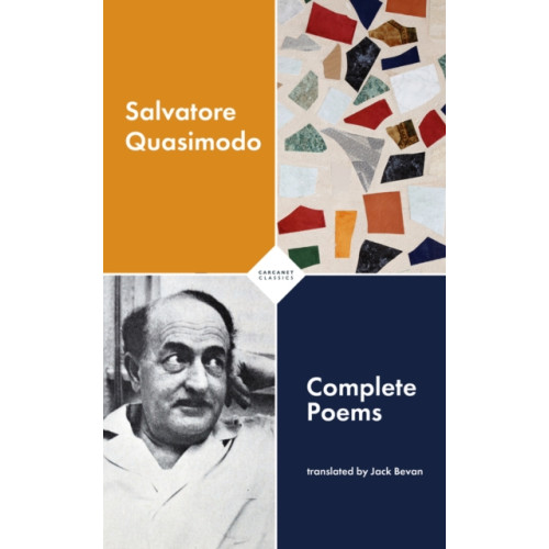 Carcanet Press Ltd Complete Poems (häftad, eng)