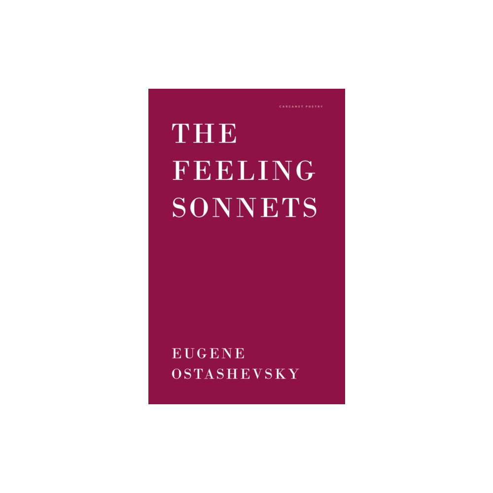 Produktbild för The Feeling Sonnets (häftad, eng)