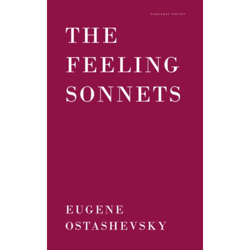 Carcanet Press Ltd The Feeling Sonnets (häftad, eng)