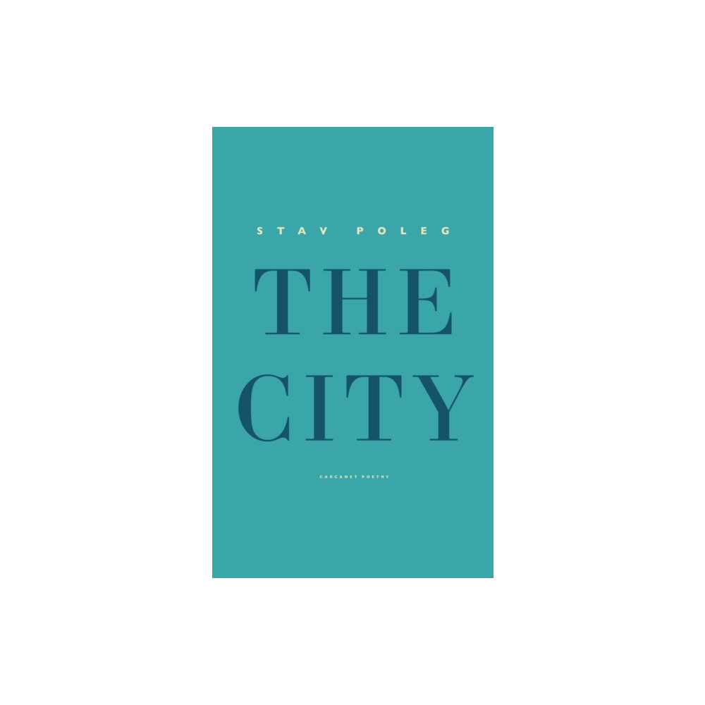 Produktbild för The City (häftad, eng)
