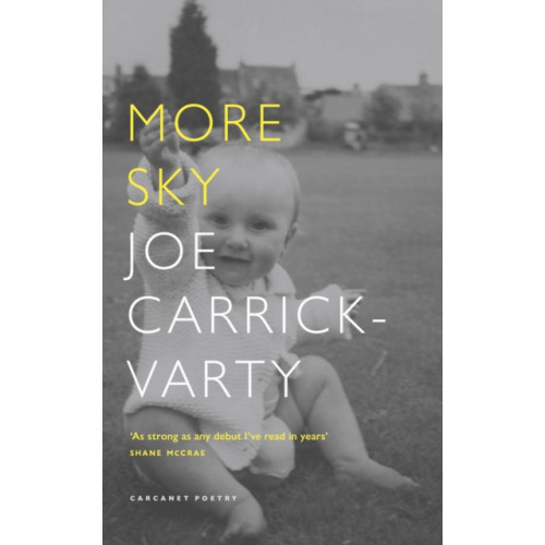 Carcanet Press Ltd More Sky (häftad, eng)