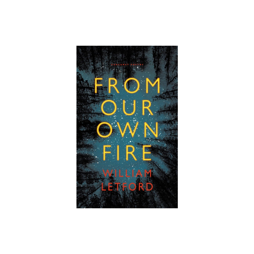 Produktbild för From Our Own Fire (häftad, eng)