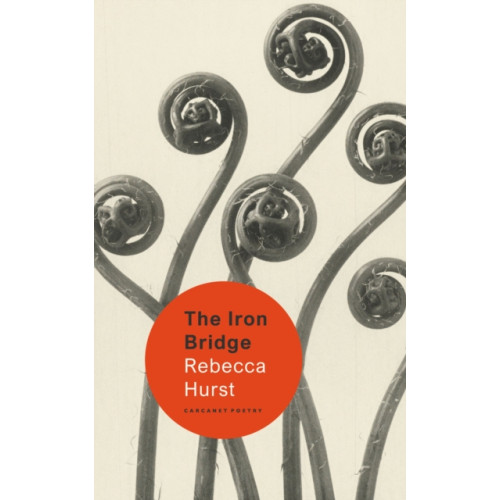 Carcanet Press Ltd The Iron Bridge (häftad, eng)