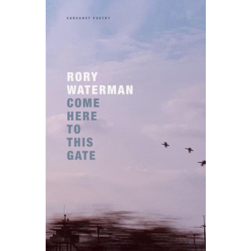 Carcanet Press Ltd Come Here To This Gate (häftad, eng)