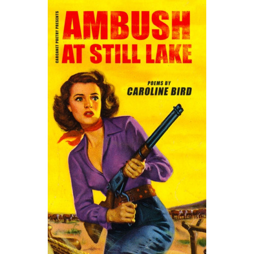 Carcanet Press Ltd Ambush at Still Lake (häftad, eng)