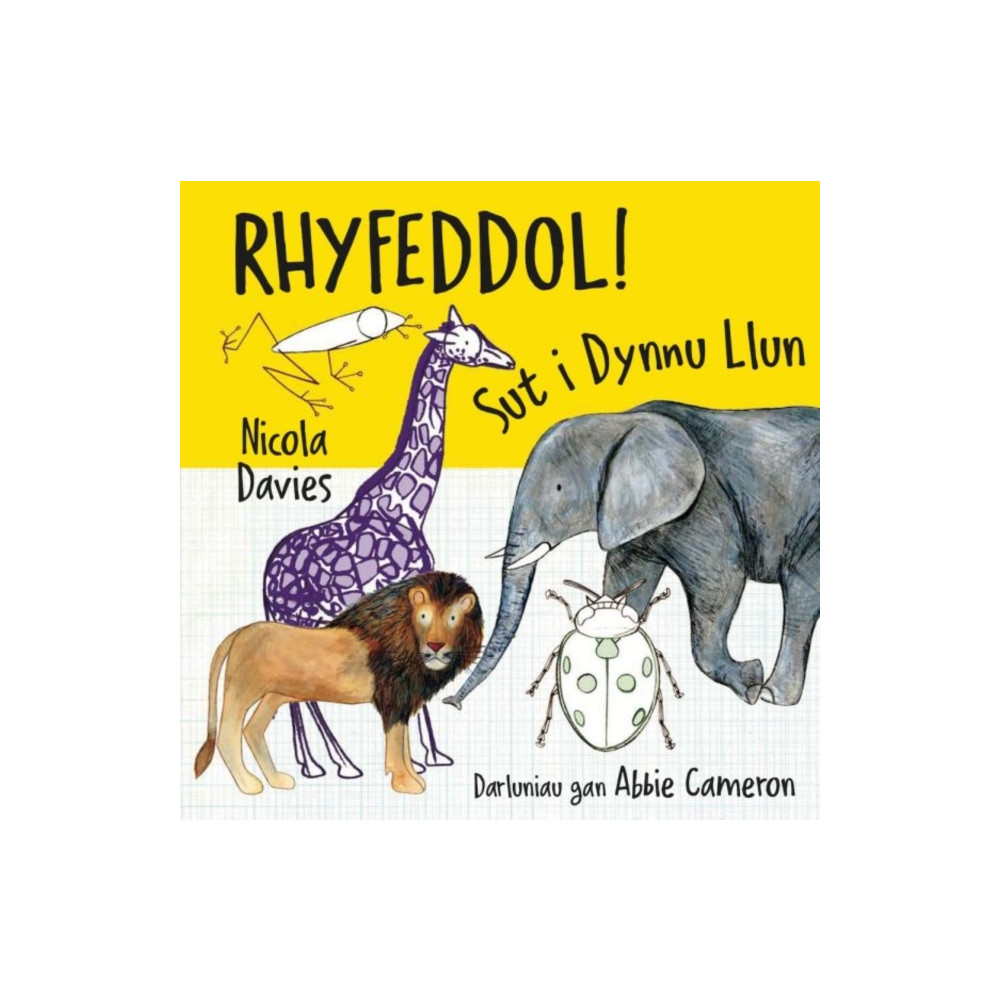 Produktbild för Rhyfeddol! Sut i Dynnu Llun (häftad, wel)