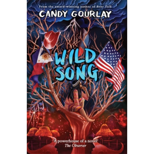 David Fickling Books Wild Song (häftad, eng)