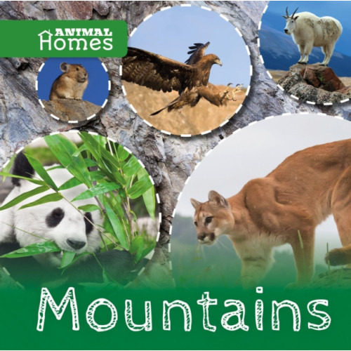 BookLife Publishing Mountains (inbunden, eng)