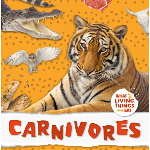 BookLife Publishing Carnivores (inbunden, eng)