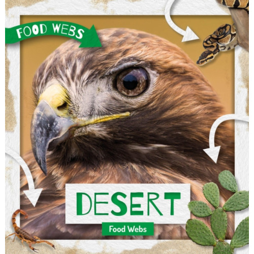 BookLife Publishing Desert Food Webs (inbunden, eng)