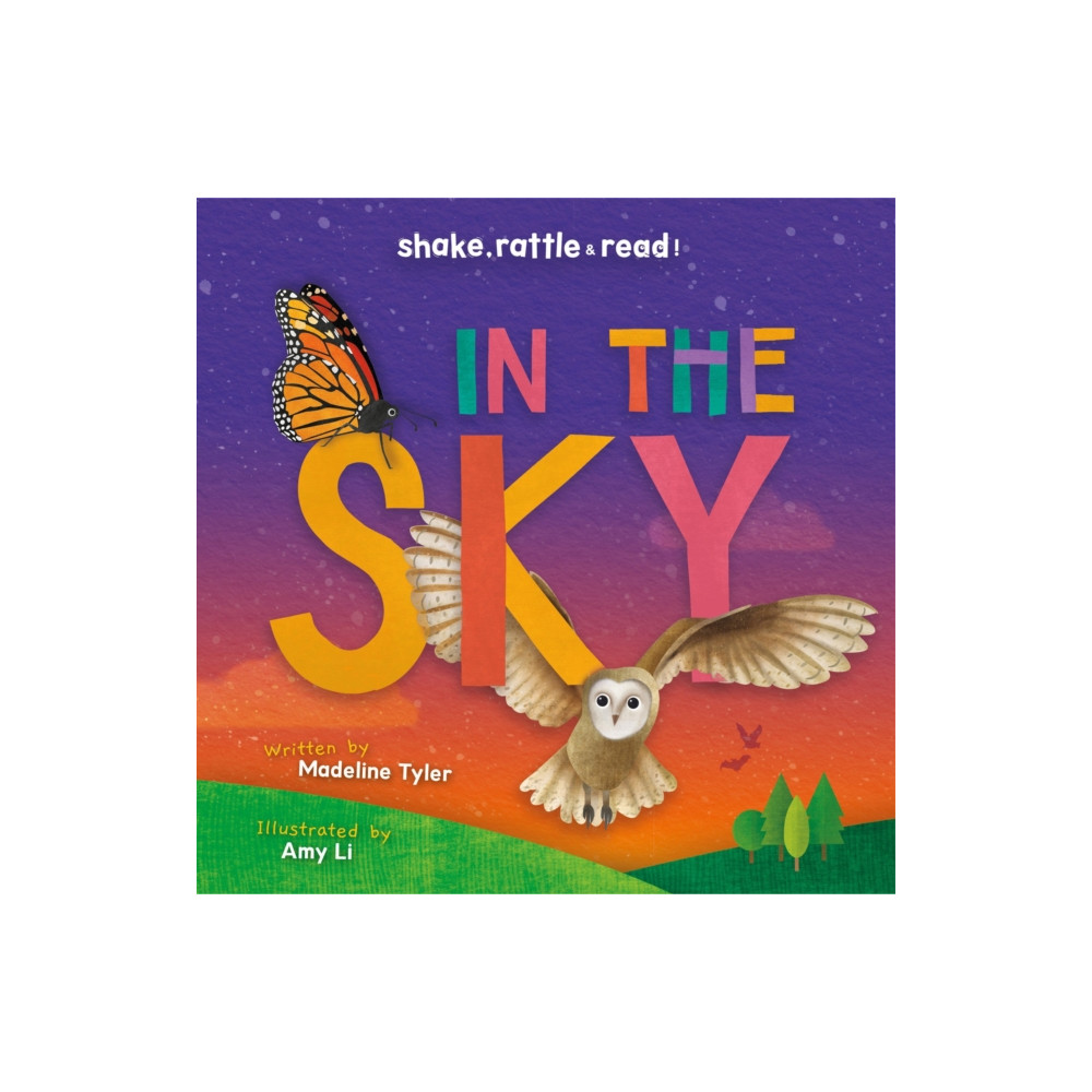 Produktbild för In the Sky (inbunden, eng)