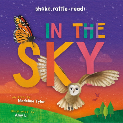BookLife Publishing In the Sky (inbunden, eng)