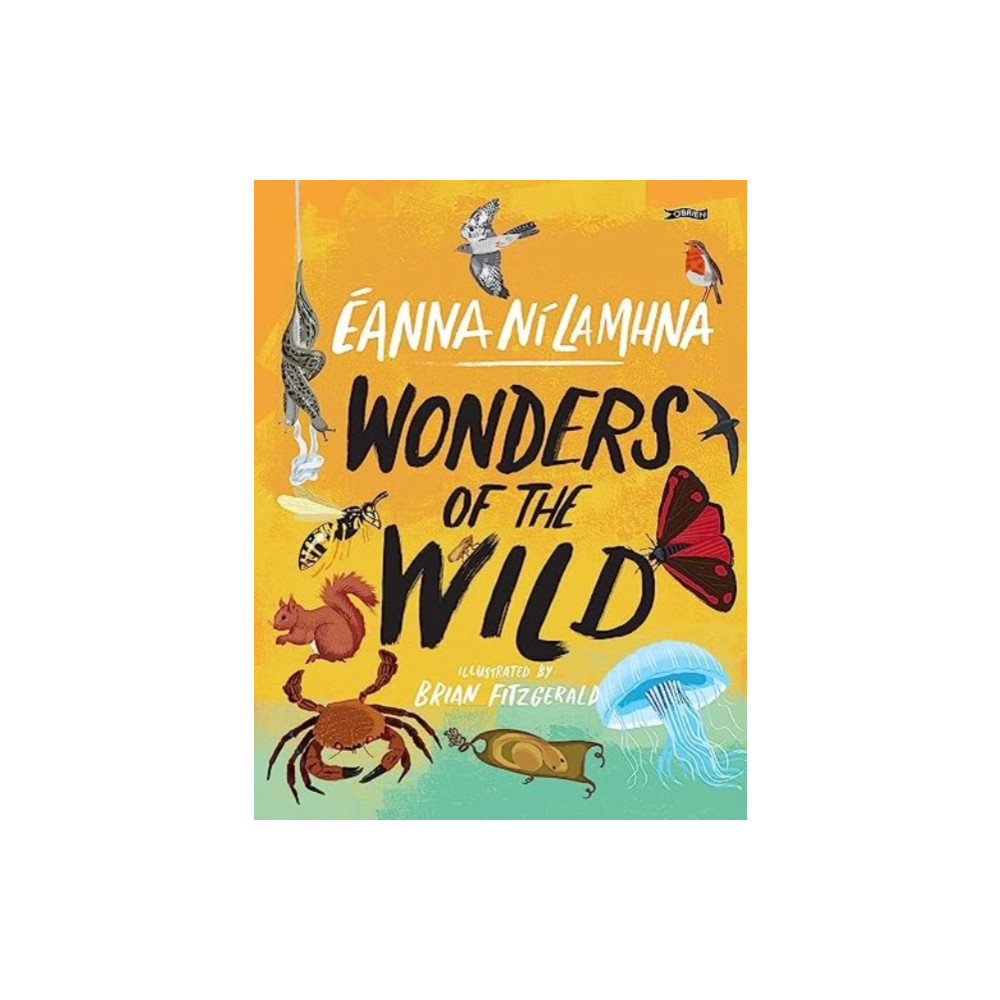 Produktbild för Wonders of the Wild (inbunden, eng)