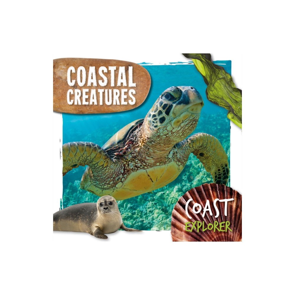 Produktbild för Coastal Creatures (inbunden, eng)