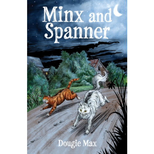 Troubador Publishing Minx and Spanner (häftad, eng)