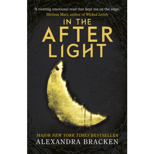 Hachette Children's Group A Darkest Minds Novel: In the Afterlight (häftad, eng)