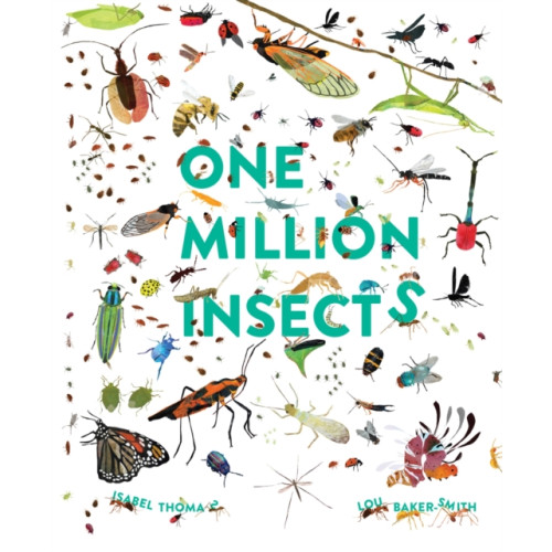 Hachette Children's Group One Million Insects (häftad, eng)