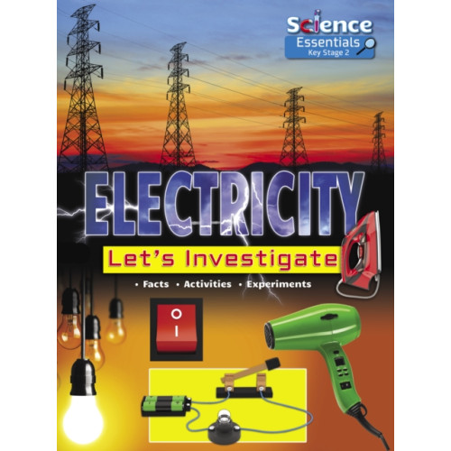 Ruby Tuesday Books Ltd Electricity (häftad, eng)