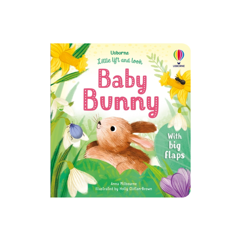 Produktbild för Little Lift and Look Baby Bunny (bok, board book, eng)