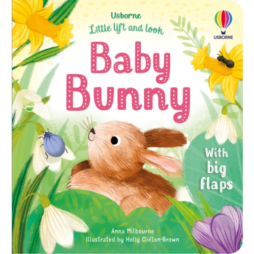 Usborne Publishing Ltd Little Lift and Look Baby Bunny (bok, board book, eng)