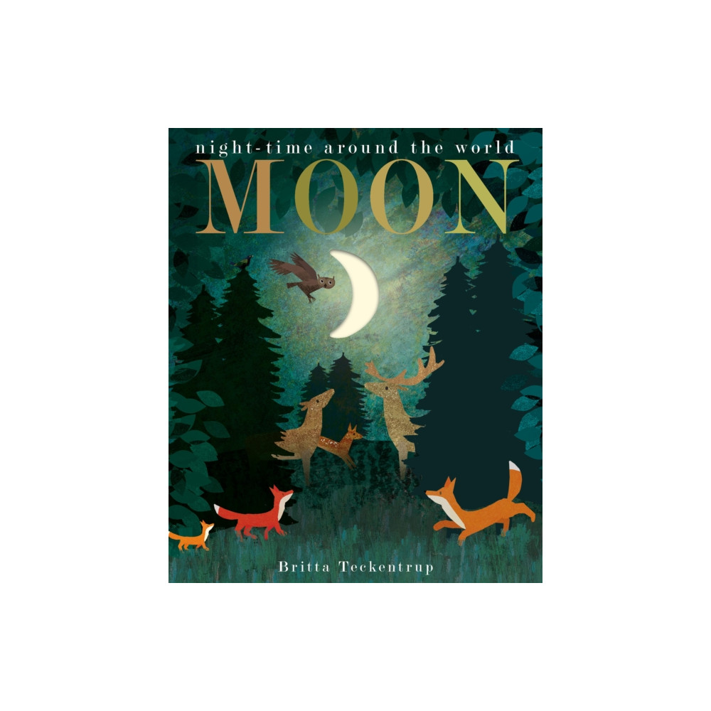 Produktbild för Moon (bok, board book, eng)