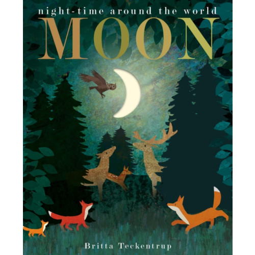 Little Tiger Press Group Moon (bok, board book, eng)