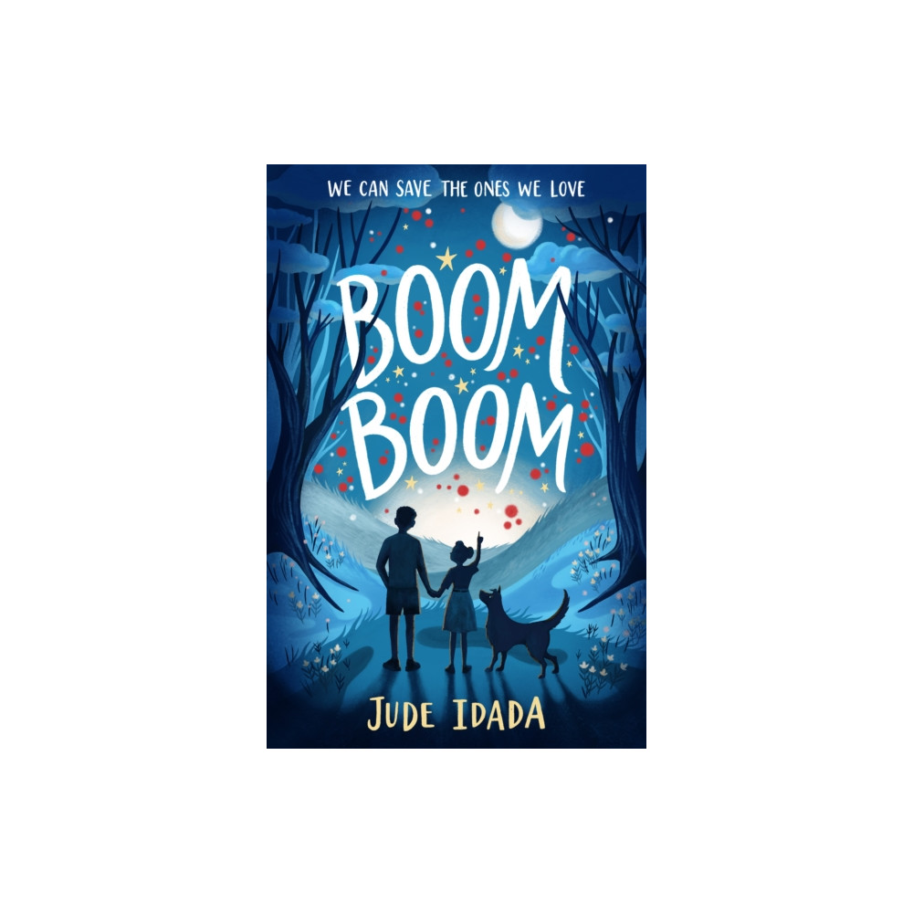 Produktbild för Boom Boom (häftad, eng)