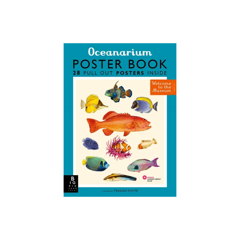 Produktbild för Oceanarium Poster Book (häftad, eng)