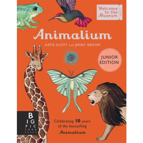 Templar Publishing Animalium (Junior Edition) (inbunden, eng)