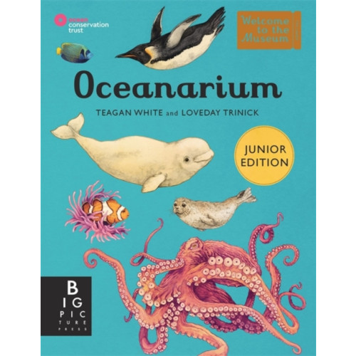 Templar Books Oceanarium (Junior Edition) (inbunden, eng)