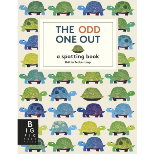 Templar Publishing The Odd One Out (häftad, eng)