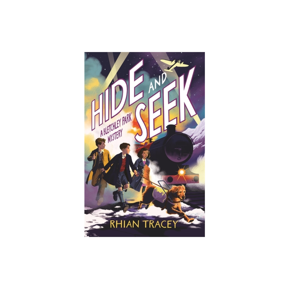 Produktbild för Hide and Seek (häftad, eng)