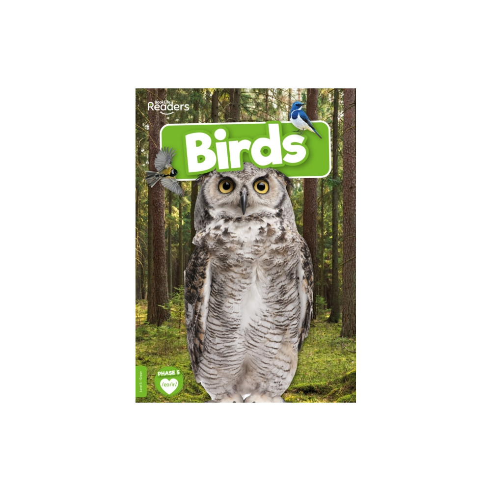 Produktbild för Birds (häftad, eng)