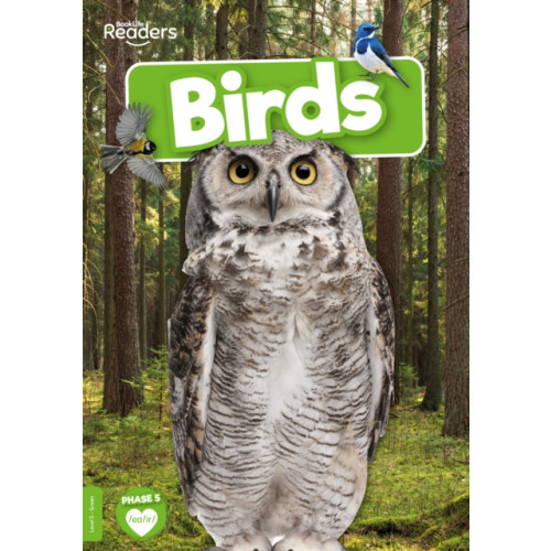 BookLife Publishing Birds (häftad, eng)