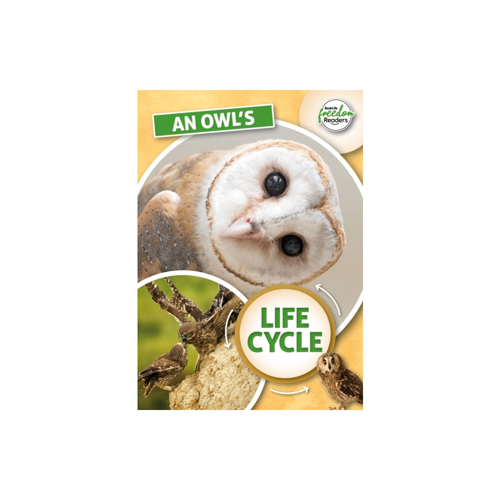 Produktbild för An Owl's Life Cycle (häftad, eng)