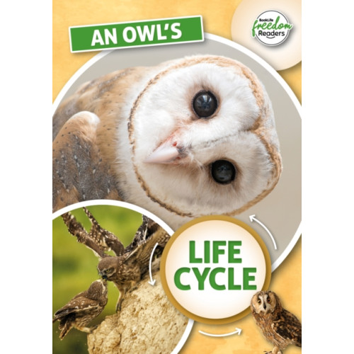 BookLife Publishing An Owl's Life Cycle (häftad, eng)