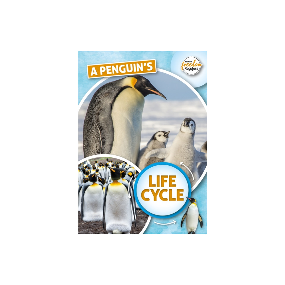 Produktbild för A Penguin's Life Cycle (häftad, eng)